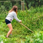 Fólia pod plot: Koniec prerastajúcej burine